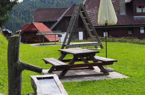 Laßnitz bei Murau House | Biohof Stockreiter vulgo Grillschmied inklusive Murau GästeCard