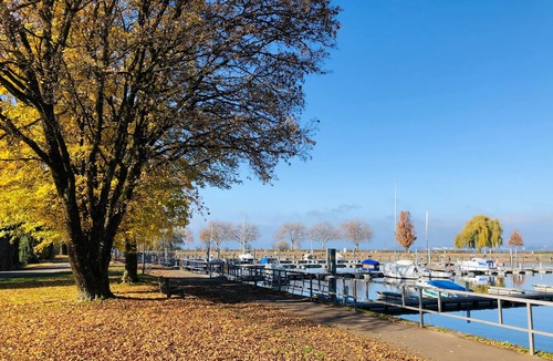 Bregenz Apartment | Bright Holiday Apartment “Bregenz 8 Top 1” with Wi-Fi, Terrace & Garden