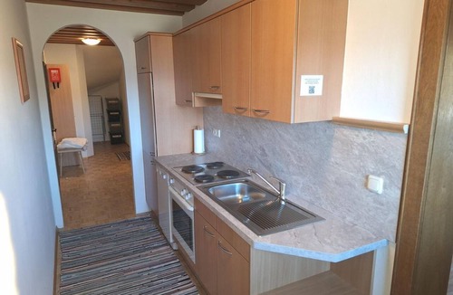 Fieberbrunn House | Buchenstein holiday apartment - Elsbichl farm