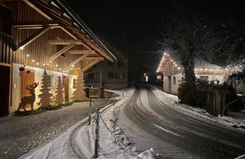 Bildstein Apartment | Chalet Vinzenz, Bildstein- mit privatem Ski- und Fahrradraum