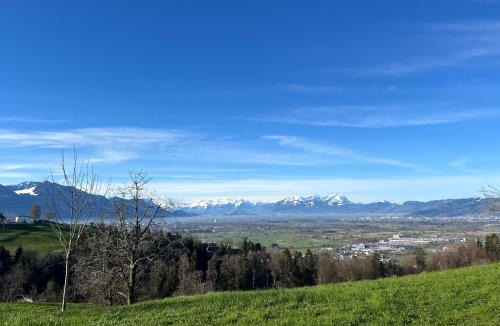 Bildstein Apartment | Chalet Vinzenz, Bildstein- mit privatem Ski- und Fahrradraum