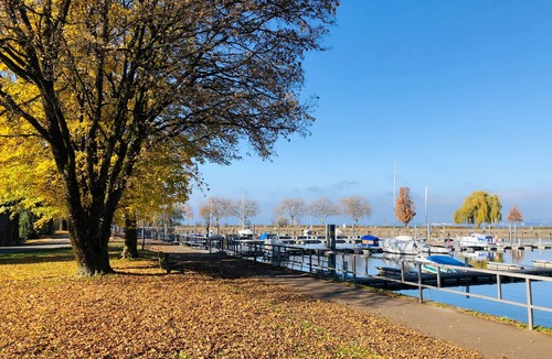 Bregenz Apartment | Charming Apartment "Bregenz 6 Top 1" in Central Location with Wi-Fi, Terrace & Garden