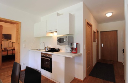 Untertschern Apartment | Comfortable flat in Bach with small garden