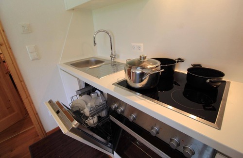 Untertschern Apartment | Comfortable flat in Bach with small garden