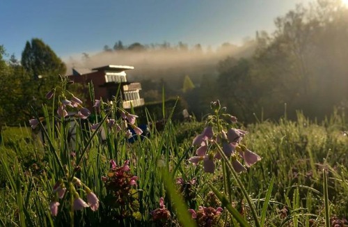Andritz Other | Cute Caravan Hideaway in Nature