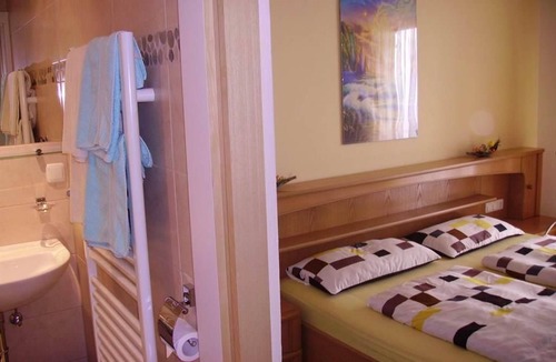 Bad Hofgastein Bed & Breakfast | Double room with shower, WC - Bergheim, house