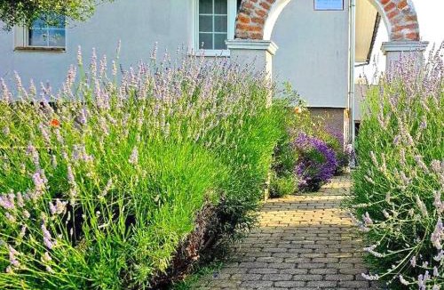 Oslip House | Dreamly Suites Oslip