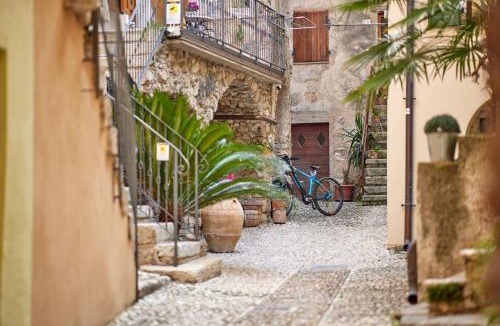 Cassone House | EL VOLT