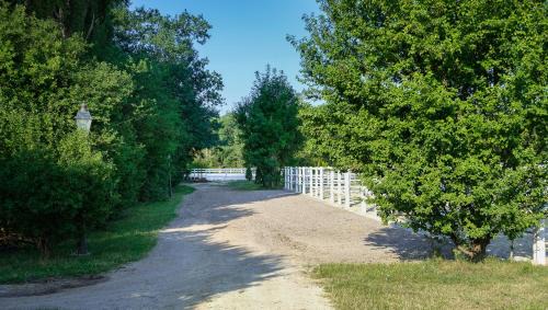 Wulkaprodersdorf House | Equiliber Reitsportzentrum Burgenland
