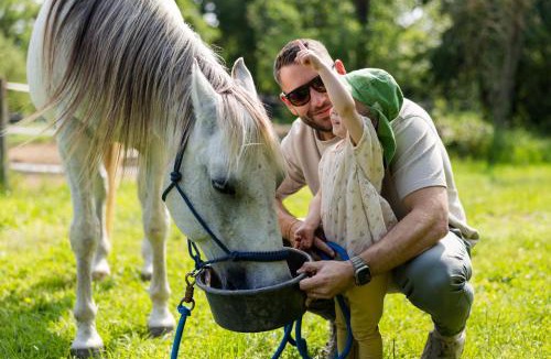 Frankenau-Unterpullendorf Apartment | Family Ranch Urlaub am Pferdehof