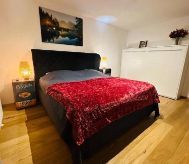 Aigen Villa | FAMILY STAY SALZBURG City