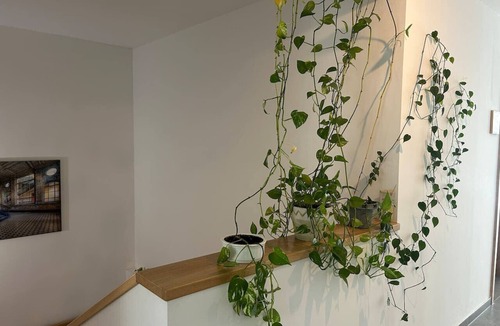 Kremsmuenster Apartment | FarawayHomes Aparthotel Kremsmünster #15