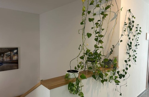 Kremsmuenster Apartment | FarawayHomes Aparthotel Kremsmünster #14