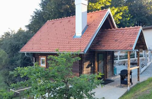 Thannhausen Apartment | Ferienhütte Zetzhirsch