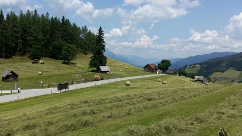 Pruggern House | Ferienhaus Bichlhütte