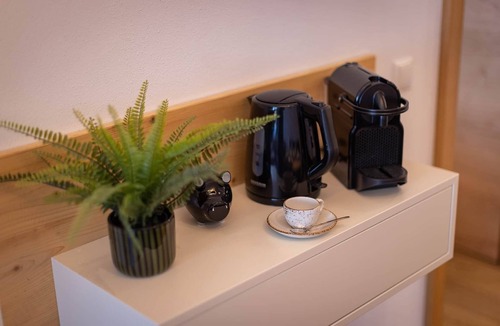 Furth Apartment | FESH LIVING 2 - smart alpine apartment with sauna near Zell am See/Kaprun