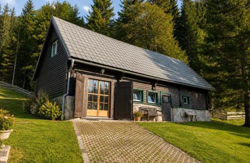 Muerzsteg Apartment | Frein Chalets - Kaltenbach 1A