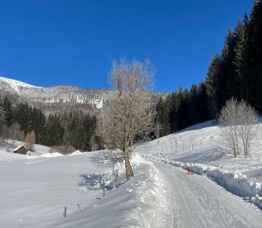 Muerzsteg Ski Chalet | Frein Chalets - Kaltenbach