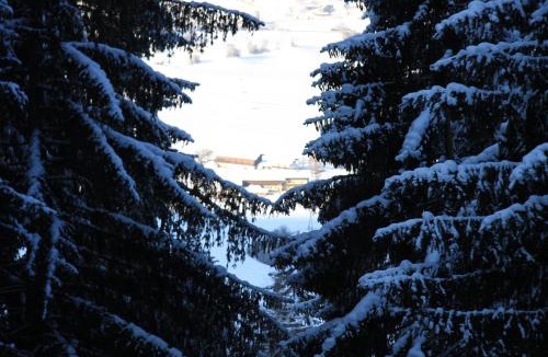 Axams Apartment | Funerhof