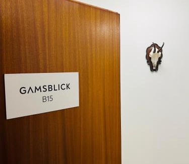 Bad Aussee Apartment | GAMSBLICK - Traumhaftes Bergpanorama, Parkplatz & Pool
