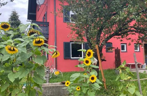 Feld am See Apartment | Gartenappartement Schaffler