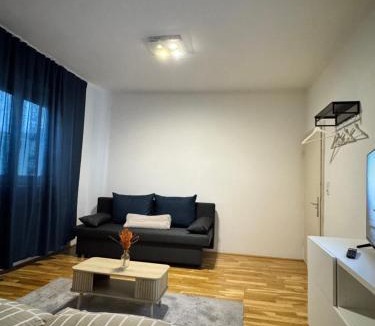 Schallmoos House | Großes Stadt Zimmer