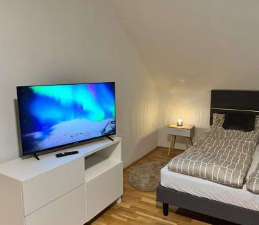 Schallmoos House | Großes Stadt Zimmer