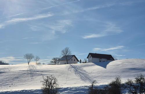 Frankenfels House | Haarstubenhäusl Glückskäfer