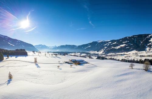 Saalfelden am Steinernen Meer Apartment | Haslinghof