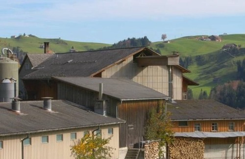 Neckertal Apartment | Hasenbüel by Interhome