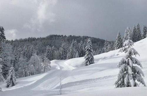 Unken Ski Chalet | Herbst Alm