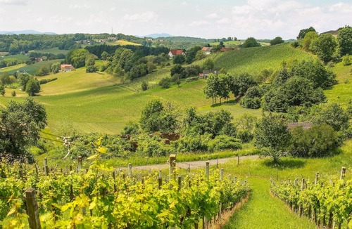 Unterlamm Other | Holiday house Loipersdorf bei Fürstenfeld for 1 - 2 persons with 1 bedroom - Farmhouse