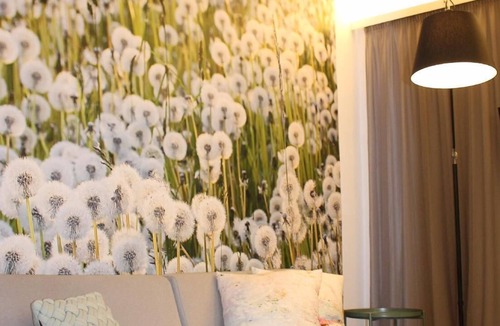 Geidorf Apartment | Holiday apartment Graz (Stadt) for 1 - 4 persons with 1 bedroom - Holiday apartment in one or multi-