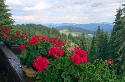 Albeck Apartment | Holiday Apartment "Haus Weitblick 2" near Slopes with Private Terrace & Wi-Fi