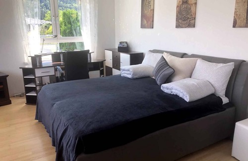 Schmitten Apartment | Holiday apartment Unique penthouse with lake view