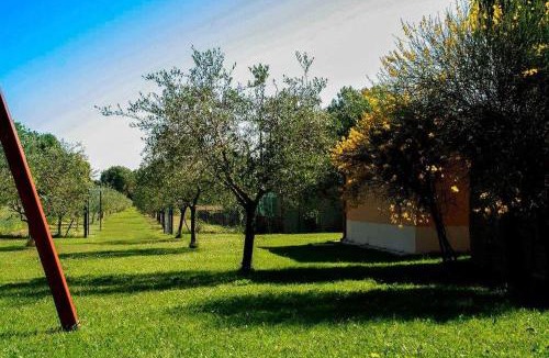 Corinaldo Apartment | Il Poggetto 2