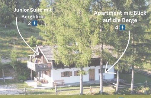 Neukirchen bei Altmunster Apartment | Kreitalm - Kraftplatz im Salzkammergut