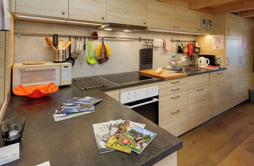 Brienzwiler Apartment | Lovely apartment for 7 people with WIFI, TV, terrace, pets allowed and panoramic view