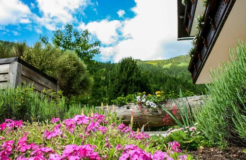 Donnersbachwald Apartment | Lovely apartment for 4 people with WIFI, TV, terrace and panoramic view
