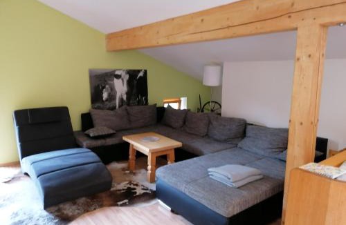 Mittersill Apartment | Mosenbauer Ferienwohnung Salzburg