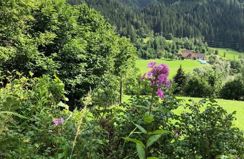 Auen House | Mountain hut "H e r z a l m" - a pearl in the Mur Valley - Holidays for TWO