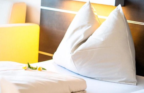 Neufeld an der Leitha Hotel | Neufeldersee Hotel & Restaurant