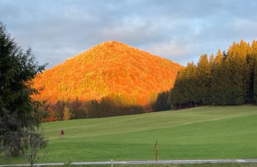 Hof bei Salzburg Apartment | Obereggut
