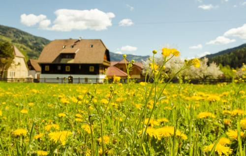 Sankt Georgen ob Murau House | Pension Zechnerhof