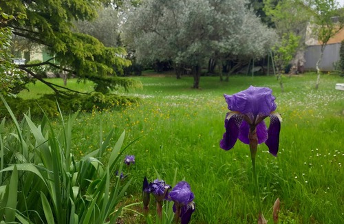 Duino-Aurisina Cottage | Pleasant cottage emersed in nature by Duino castle