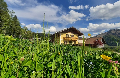 Krispl Apartment | Reitlhof apartment, organic mountain farm near Salzburg