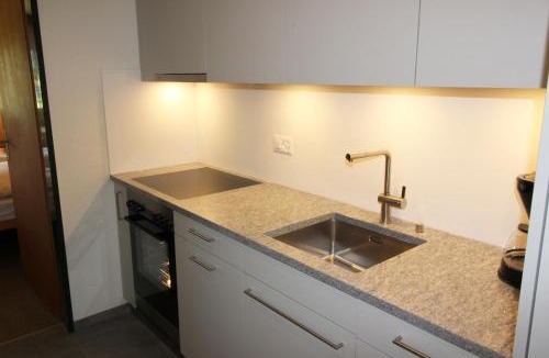 Sils-Maria Apartment | Residenza Lagrev 1 Zimmerwohnung Nr 228 - Typ 11A - 2 Etage - Ost