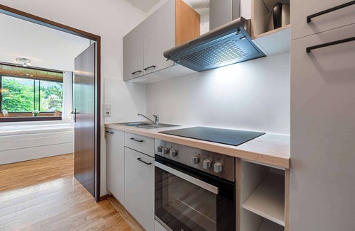 Bad Aussee Apartment | Riverview Apartment | Kitchen | Parking | Loggia