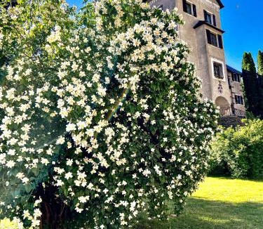 Huettenberg House | Schloss Süßenstein