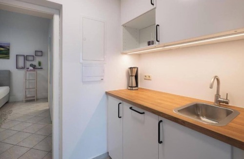 Klopein Apartment | Seewirt Apartments: 1-Bedroom Apartment with Shower